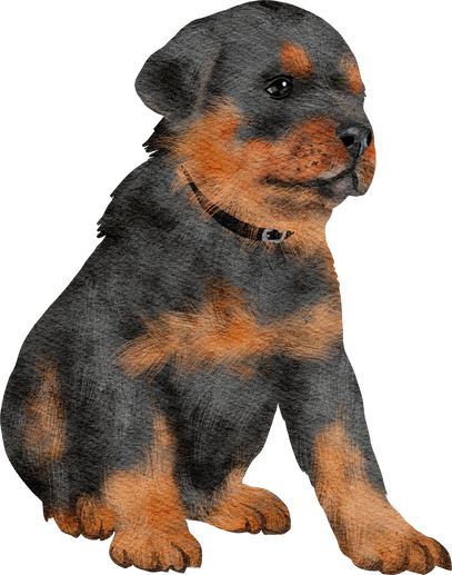 Watercolor Rottweiler Puppy Illustration