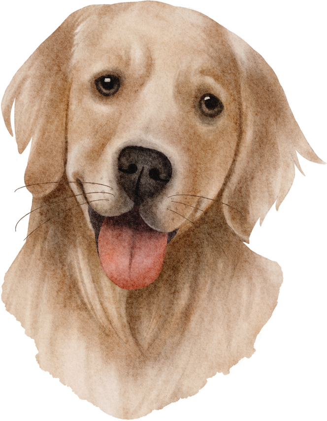 watercolor golden retriever dog