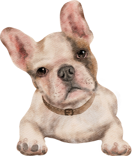 Watercolor French Bulldog